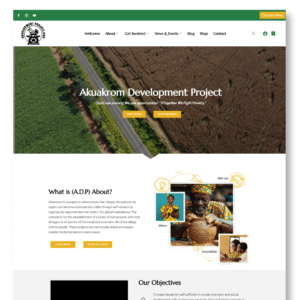 Website Landing Page